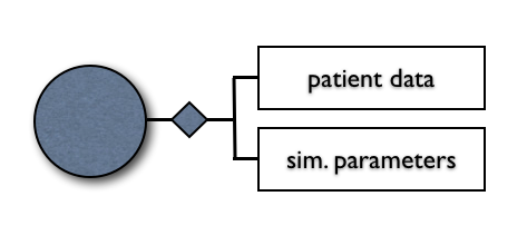 Patient data and parameters